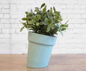 idee regalo originali