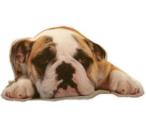 cuscino bulldog
