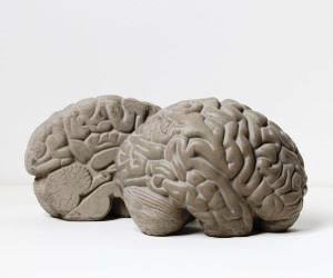 FERMALIBRI CERVELLO REGALI ORIGINALI