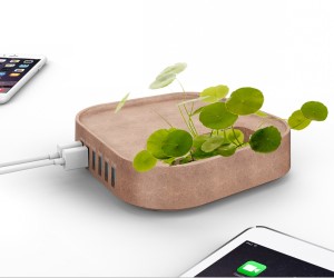 IDEE REGALO ORIGINALI PORTA USB ECO