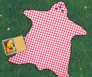 idee regalo originali coperta pic nic