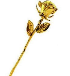 IDEE REGALO ORIGINALI ROSA D'ORO