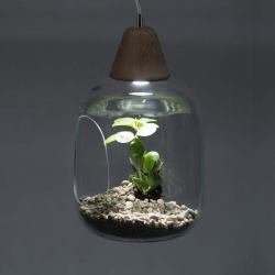 LAMPADARIO VASO REGALI ORIGINALI CASA