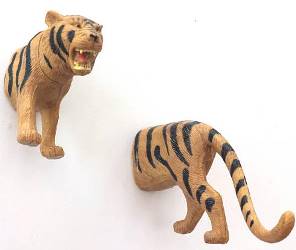 SET 2 APPENDIABITI TIGRE