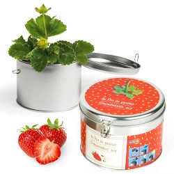 idee regalo originali fragole in barattolo