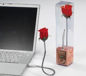 idee regalo originali lampada rosa