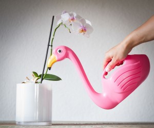 IDEE REGALO ORIGINALI PER IL GIARDINO ANNAFFIATOIO FENICOTTERO