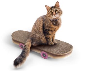 TIRAGRAFFI PER GATTI SKATEBOARD