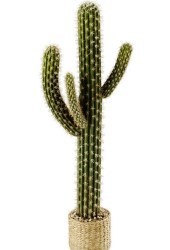 CACTUS ARTIFICIALE 