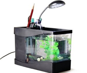 IDEE REGALO ORIGINALI MINI ACQUARIO PORTAPENNE