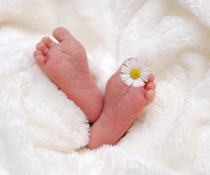 INVIARE SPEDIRE FIORI ONLINE: amicizia amore compleanno lutto nascita battesimo