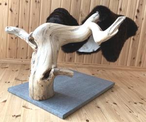 TIRAGRAFFI PER GATTI ALBERO