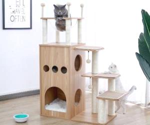 TIRAGRAFFI PER GATTI VINCHESTER