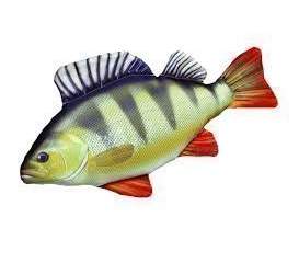idee regalo originali cuscino guanciale pesce