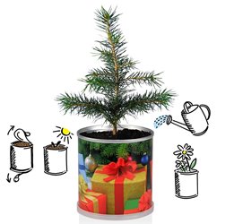 idee regalo originali albero di natale in lattina