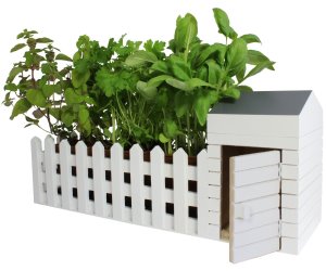 idee regalo originali minigiardino da interni