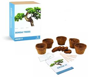 idee regalo originali set per la coltivazione di 5 alberi bonsai