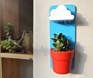 idee regalo originali portavaso da parete