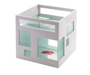 idea regalo originale acquario umbra fishhotel